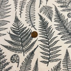 Jungle Ferns Underglaze Transfer Sheet Jungle Ferns Underglaze Transfer Sheet