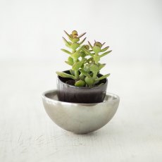Reflecting Earthenware Glaze 9543