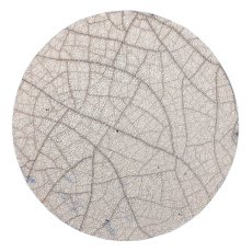 Crystal Clear Crackle Raku Brush On Glaze BP7R