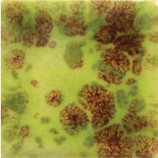 Pistachio Mayco Jungle Gem Pistachio Mayco Jungle Gem