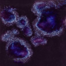 Royal Fantasy Mayco Jungle Gem