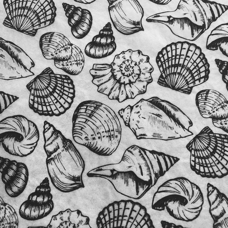 Shells Multi Underglaze Transfer Sheet - Black Shells Multi Underglaze Transfer Sheet - Black