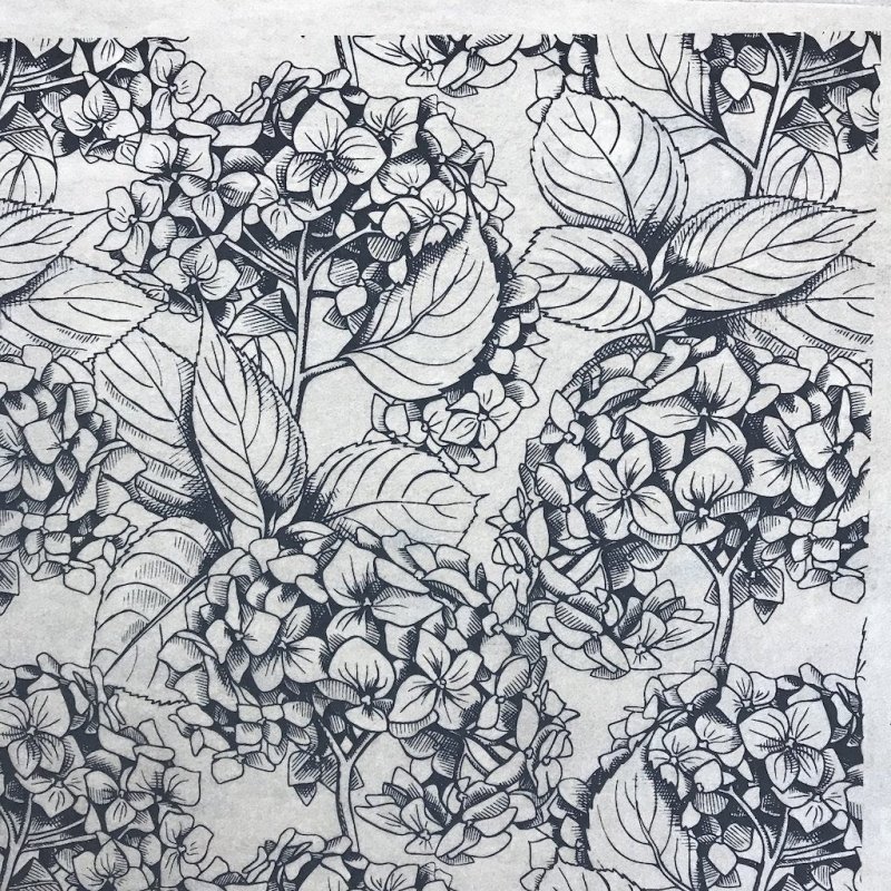 Hydrangea Underglaze Transfer Sheet Hydrangea Underglaze Transfer Sheet