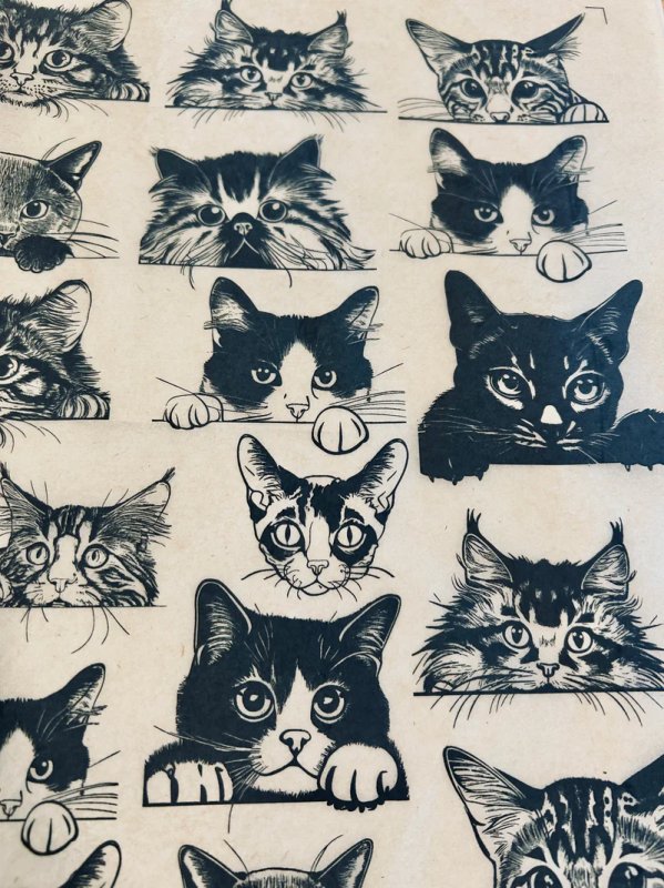 Zany Cats Underglaze Transfer Sheet Zany Cats Underglaze Transfer Sheet