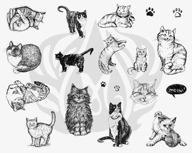 Designer Silkscreen Cats Designer Silkscreen Cats