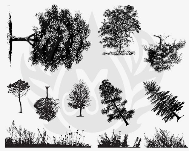 Designer Silkscreen Botanical Trees & Grass Designer Silkscreen Botanical Trees & Grass