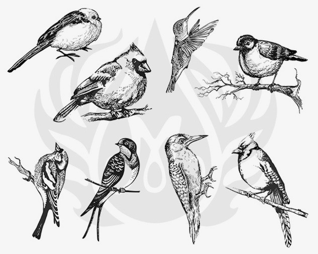 Designer Silkscreen Small Birds Designer Silkscreen Small Birds