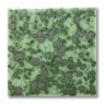 TerraColor Crocodile Green Earthenware Brush On Glaze F5125