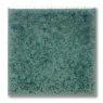 TerraColor Velvet Green Earthenware Brush On Glaze F5131