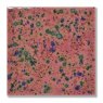 TerraColor Wilde Malve Earthenware Brush On Glaze FE5220