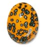 TerraColor Bird Of Paradise Earthenware Brush On Glaze F5252