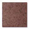 TerraColor Damson Earthenware Brush On Glaze F5414