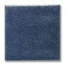 TerraColor Monaco Blue Earthenware Brush On Glaze FE5703