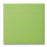 TerraColor Victoria Earthenware Brush On Glaze F5810