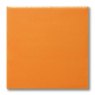 TerraColor Matt Orange Earthenware Brush On Glaze FM5811