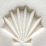 Small Debossed Sea Shell MKM Stamp Small Debossed Sea Shell MKM Stamp