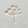 Medium Butterfly Milkweed MKM Stamp Medium Butterfly Milkweed MKM Stamp