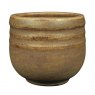 Textured Amber Amaco Potter's Choice Brush On Glaze PC-61