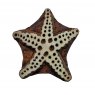 Starfish Wooden Clay Stamp No.493