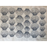 Shells Scallop Underglaze Transfer Sheet - Black