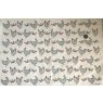 Chickens Underglaze Transfer Sheet - Black-Red-Blue
