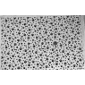 Paw Prints Underglaze Transfer Sheet Paw Prints Underglaze Transfer Sheet