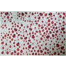 Lady Bugs Underglaze Transfer Sheet Lady Bugs Underglaze Transfer Sheet