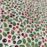 Winter Berries Underglaze Transfer Sheet