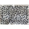 Bats Underglaze Transfer Sheet Bats Underglaze Transfer Sheet