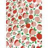 Peaches and Cream Underglaze Transfer Sheet - Multi Coloured