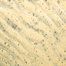 Sun Shower Flux Amaco Potters Choice Glaze Sun Shower Flux Amaco Potters Choice Glaze
