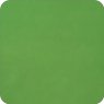 Mint Green Underglaze Mint Green Underglaze
