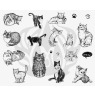 Designer Silkscreen Cats