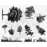 Designer Silkscreen Botanical Trees & Grass