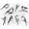 Designer Silkscreen Small Birds