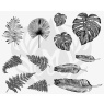 Designer Silkscreen Tropical Leaves