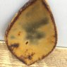 Botz Gold Earthenware Glaze 9539